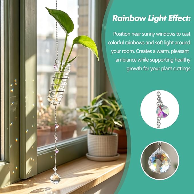 H&D HYALINE & DORA 6 Pcs Hanging Plant Propagation Station with Crystal Ball Prisms Suncatcher and Cleaning Brush, Glass Wall Planters for Indoor Plants Hydroponics Gifts for Plant Lovers(Silver)