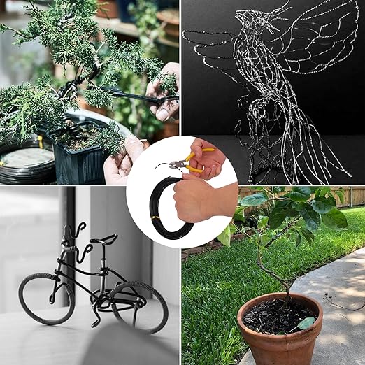 5 Roll Anodized Aluminum Bonsai Training Wire Kit with Bag, Black Bonsai Training Wire, Plant Wire Kit for Bonsai Artists & Beginners by Biugaaufai (1.0mm, 1.5mm, 2.0mm, 2.5mm, 3.0mm,5-Size 328 Feet)