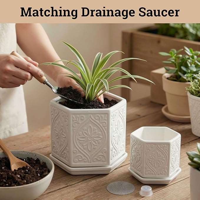 Ceramic Pots for Plants Set of 2 Sizes - 6 Inch and 4 Inch Wide Plant Pots Indoor with Drainage and Saucer - White Planters for Indoor Plants - Ceramic Planter Pot with Tray for Flowers & Houseplants