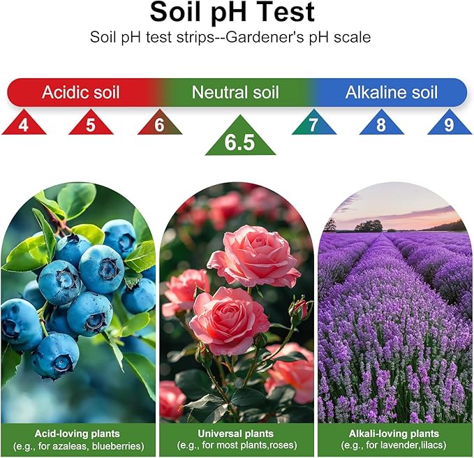 2-in-1 pH & Nitrogen Soil Test Kit, Home Soil Testing Kit Separately Sealed in Foils, Soil pH Nitrogen Test Strips for Garden Lawn Grass Flower Vegetable Nutrient, Quick & Easy-to-Use