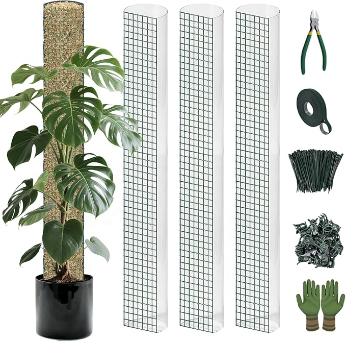 Metal Moss Poles for Climbing Plants, D-Shape Sphagnum Moss Pole Monstera Plant Support for Climbing Plants, DIY Plant Stakes Work with Sphagnum Moss (12ft D-Shaped Clear)
