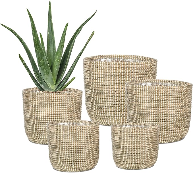 Scheurich Seagrass 17, Basket Planter/Basket Planter/Basket Pot Made of Seagrass Colour: White, 17 cm Diameter, 16 cm High, 3.5 litres Vol.