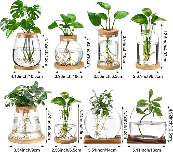 Honeydak 8 Pcs Plants Propagation Stations Planter Terrariums with Wooden Lid and Bamboo Stand Desktop Glass Propagation Vases for Plant Growing Hydroponic Home Office Tabletop Decoration