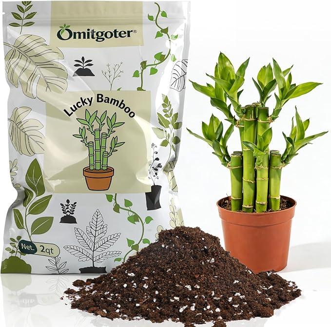 Pure Natural Potting Soil for Lucky Bamboo Plants 1qt - Superior Drainage & Breathability, Ideal Indoor Plant Soil