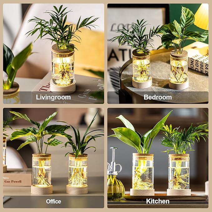 Glass Plant Propagation Stations, Propagation Vases for Plants with Ambient Light Base, Hydroponic Vase for Home & Office Windowsill Tabletop Decoration Desktop Vases for Living Room, Bedroom (4)