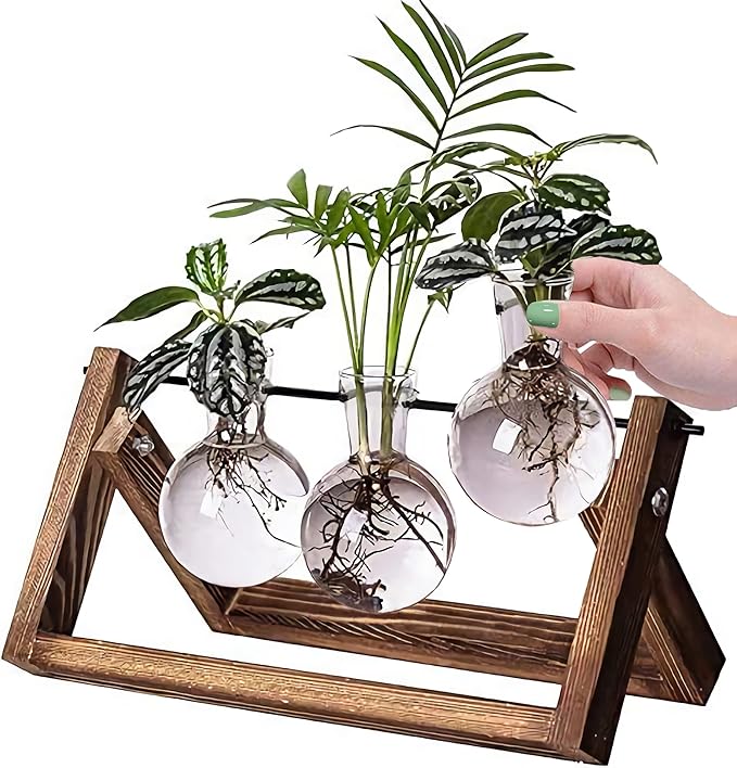 Kingbuy Bulb Forcing Vase Without Side-Hole Plant Propagation Station Air Plant Terrarium for Indoor Hydroponics Water Plants Home Office Decoration Accessories, 2 Pack