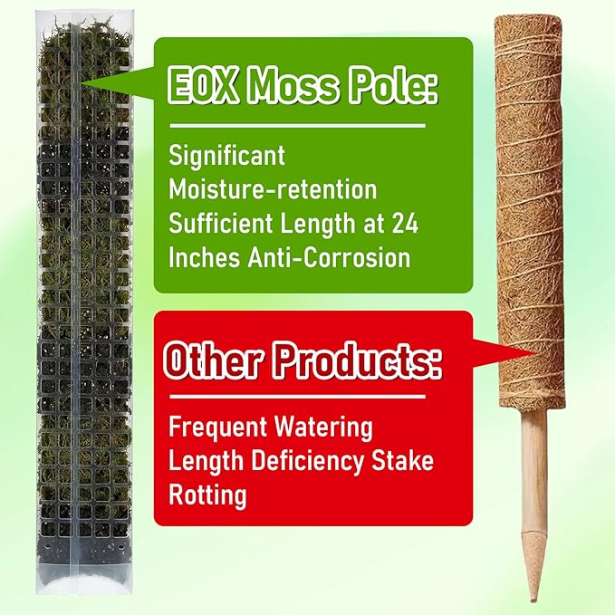 6 Pcs 24 Inch Plastic Moss Pole for Plants Monstera, D Shaped Moss Pole, Plant Poles for Climbing Plants, Plant Support for Indoor Plant Work with Sphagnum