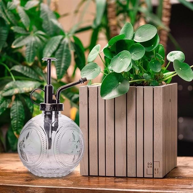 3 PCS Plant Watering Globes and Glass Watering Can Self Watering Globes Glass Spray Bottles for Indoor & Outdoor Plant,Hand-Blown Glass,Automatic Watering Device