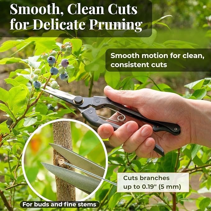 Wablade Japanese Pruning Shears Double-Edge, Clean Cuts for Soft Stems, Precision Garden Scissors for Flowers & Plants, 0.2" (5 mm), Made in Japan (Double-blade)