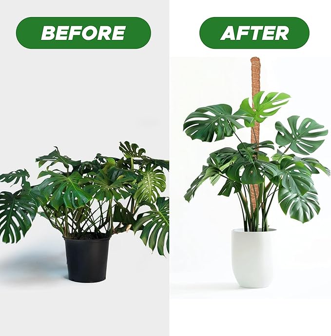 EcoNour Moss Pole for Plants – 28 inches (4 Pack) | Monstera Plant Support for Plant Climbing and Growth | Elevate Your Indoor Garden, Plant Support for Indoor Potted Plants to Grow Upwards
