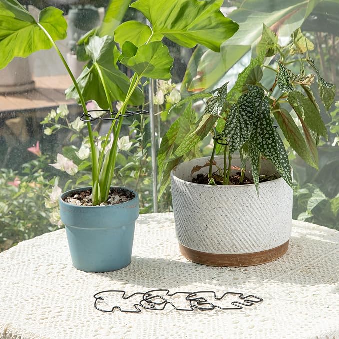 Yohsnor Monstera Plant Stem Support Set - 5pcs 4.13x2.95 inches Durable Supports for Indoor Climbing Plants - Easy-to-Use Stabilizers for Healthy Growth and Elegant Garden Decor