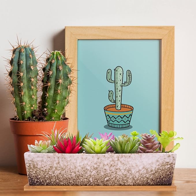 ARTKETTY Succulent Pots - 12.1 Inch Large Succulent Planters with Drainage Tray, Long Rectangle Ceramic Pot for Indoor Cactus/Succulent Plants Shallow Bonsai Window Box for Home Garden Decor (White)
