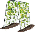 OTOSUNNY Garden Trellis for Climbing Plants Outdoor, Cucumber Trellis for Raised Bed Garden, Arch Trellis Support for Cucumbers Tomatoes Beans Peas, 50x48 inch, Metal Trellis with Netting, Black