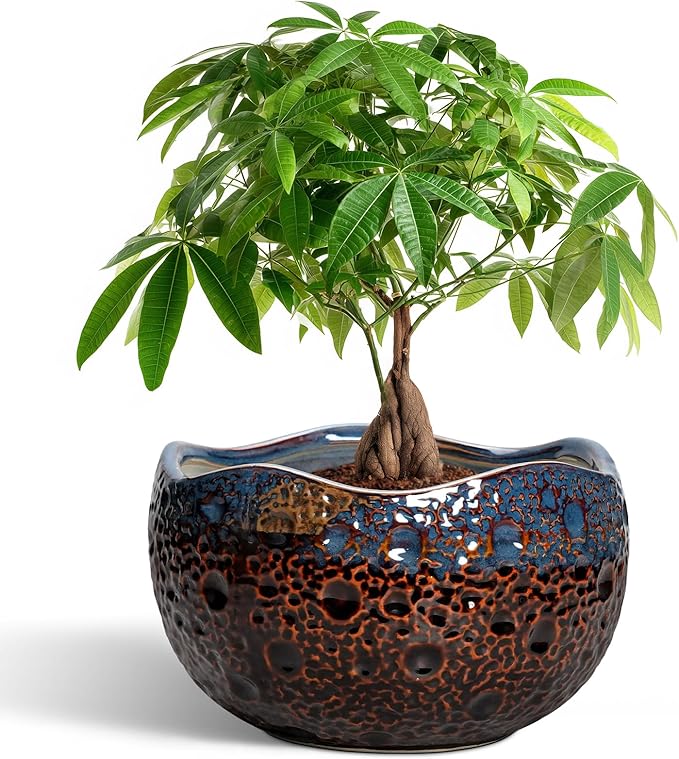 Ceramic Planter 10 Inch - Ceramic Plant Pots for Indoor Outdoor, Decorative Flower Pot with Drainage Hole and Plug, Round Unique Pots for Plants, Room Balcony Decor, Garden Gifts, Brown-blue