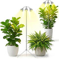Full Spectrum Grow Light for Indoor Plants with Adjustable Tripod Stand, 11''- 60'' Height Plant Grow Lamp with Auto Timer 3/9/12H, LED Plant Light for Houseplants, Seedlings, Flowers & Indoor Garden