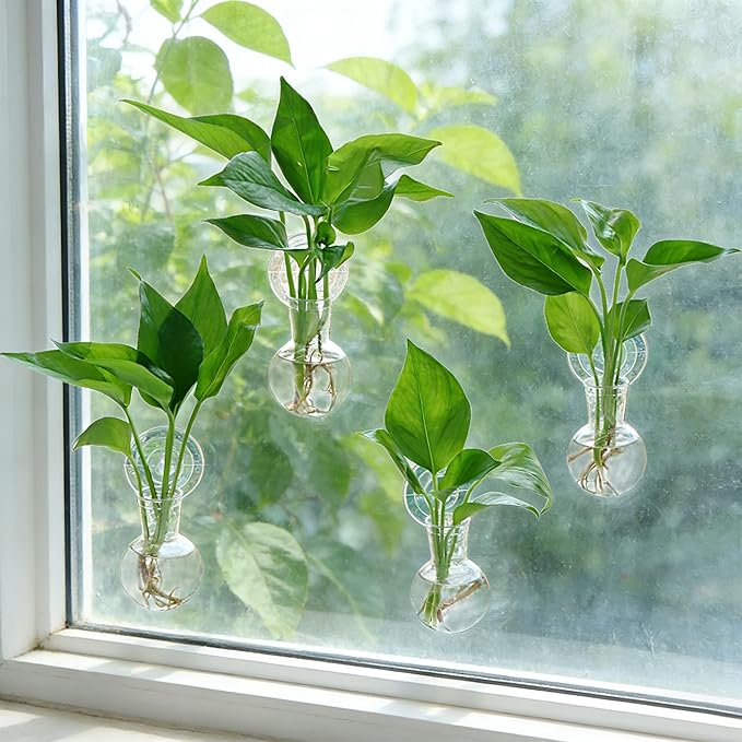 Bunmery 4 pcs Window Propagation Stations, Suction Cup Plastic Plant Propagation Bulbs, Easy to Install Wall Hanging Planter, No Nails Plastic Plant Terrarium Vase