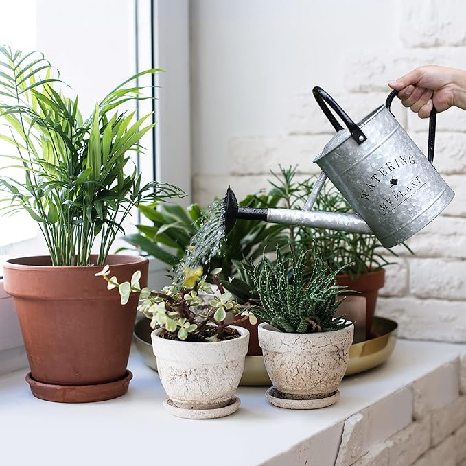 Garutom Galvanized Watering Can for Outdoor Indoor Plants, 1 Gallon Decorative Countryside Style Water Can with Removable Spout, Perfect Metal Watering Can for Indoor Plants and Garden Flower