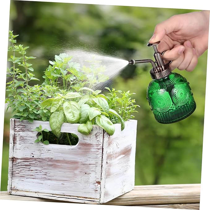 Outanaya Glass Plant Mister Spray Bottle for Gardening Ergonomic oz Capacity Decorative Water Spray Bottle for Indoor Plants Home Decor and Floral Arrangements