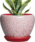 Ceramic Plant Pots - 6 Inch Pots for Plants Indoor Outdoor, Modern Planter with Drainage Hole and Tray, Round Decorative Flower Pot, Home Office Decor, House Warming Gifts, Crackle Red