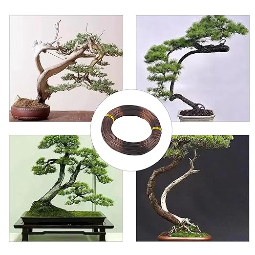 Bonsai Training Wire Kit 3 Sizes, 1.0mm/1.5mm/2.0mm Anodized Aluminum Bonsai Wire, Antique Bronze Aluminum Wire Set for Bonsai Trees Shaping and Training(100g Each Size)