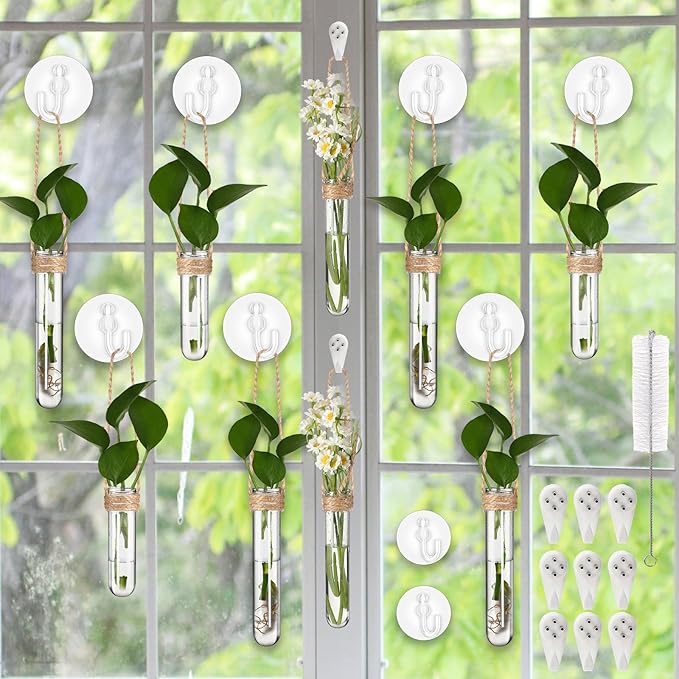 Baderke 9 Pack Clear Window Propagation Stations Plastic Window Planter with Suction Cups & Traceless Nails, Propagated Plant Holders with Bottle Brush, Hanging Vases Terrarium Gift (5.5''& 5"& 3.7'')