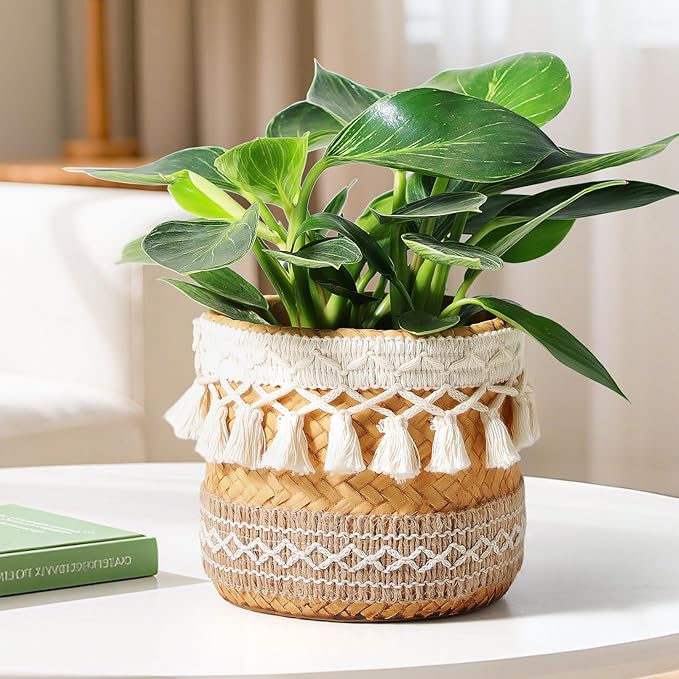 vomiceak Concrete Rattan-Style Plant Basket Planter, 5" Boho Plant Pots Indoor Outdoor with Drainage Hole, Flower Pot for Succulents, Herbs, Modern Farmhouse Decor, Ideal Gift for Plant Lovers