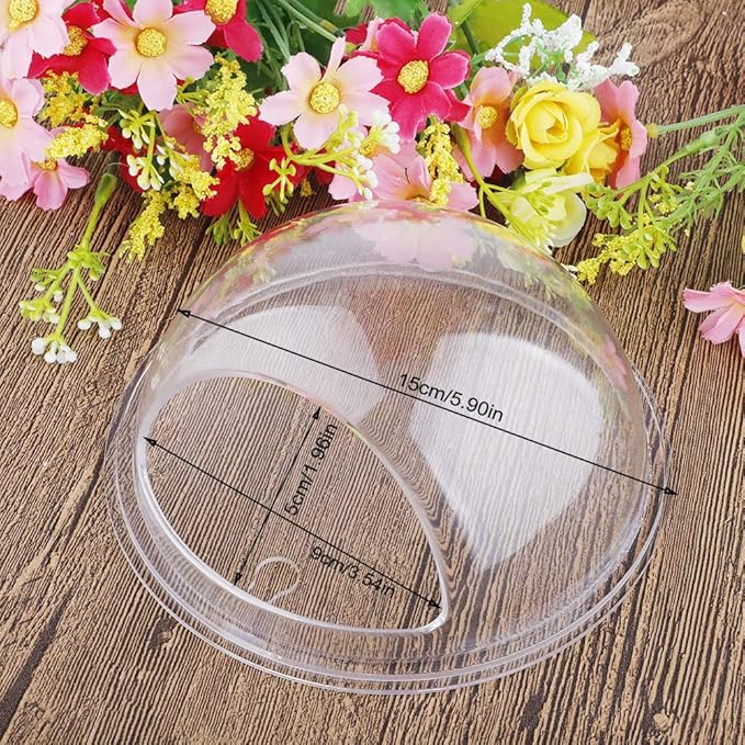 MOTUZP 2PCS Wall Hanging Plant Terrarium, Clear Acrylic Globe Flower Vase for Air Plants Succulents, Wall Mounted Bowl Fish Tank Clear Flower Pot for Succulent Plants, Air Plant