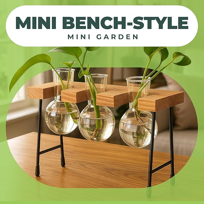 Window Garden Plant Terrarium Glass Vase with Stand - Set of 3 - Real Wood Frame with Transparent Bulb-Shaped Glass - Propagation Stations for Indoor Plants - Wooden Finish
