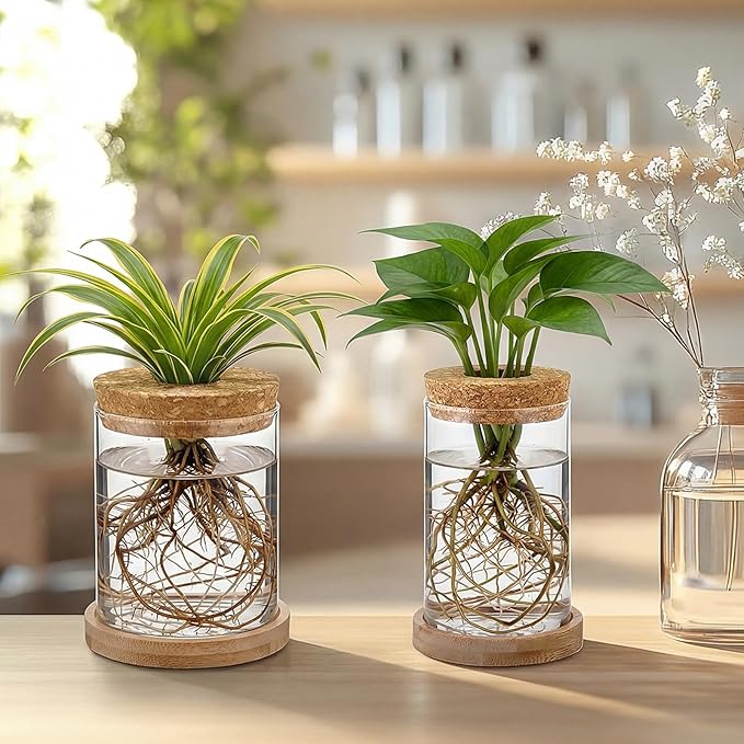 6 Pack Glass Plant Propagation Stations Hydroponic Vases with Wooden Saucer Small Glass Jar Planters Plant Station Bud Vases for Desks Home Garden Office Decorations