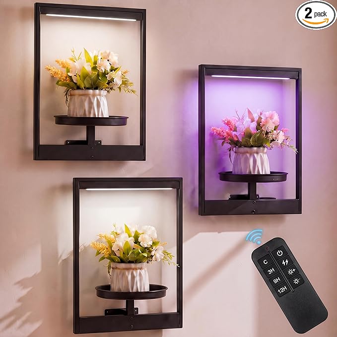 3 Pack Wall Plant Holders with Remote Grow Lights, Indoor Plants Holders, Plants Shelves Hanging Planters, Wall Mounted Framed Plant Holder for Indoor Living Room Decor