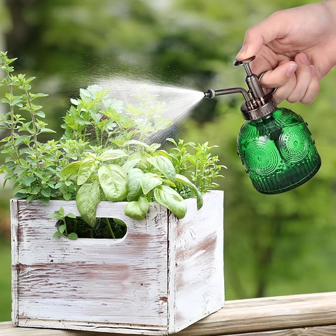 BESPORTBLE Glass Plant Mister Spray Bottle, 6.5 Green Glass Water Spray Bottle with Top Pump, Vintage Plant Watering Can, Small Mister for Outdoor Indoor House, Green