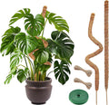 Moss Poles for Climbing Plants – Bendable Stake for Indoor Plants 28 Inch (2 Pack), Monstera Support, Moss Stick, Climbing Plant Support