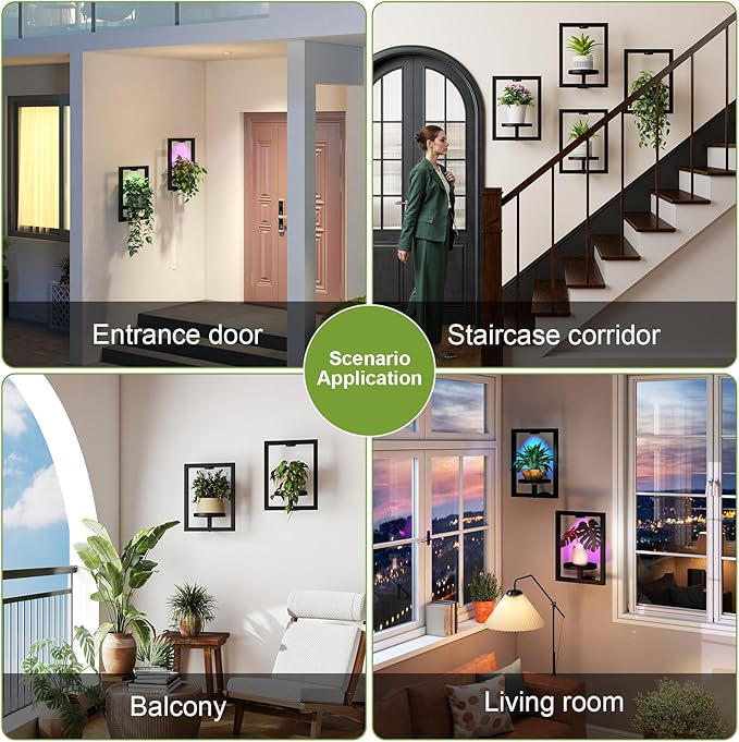 BAOYOUNI 2 Pack Picture Frame Wall Plant Holder with 15 Color Lights, Metal Window Plant Shelf, Modern Floating Plant Stand for Indoor Outdoor Patio Balcony Garden Living Room Bedroom