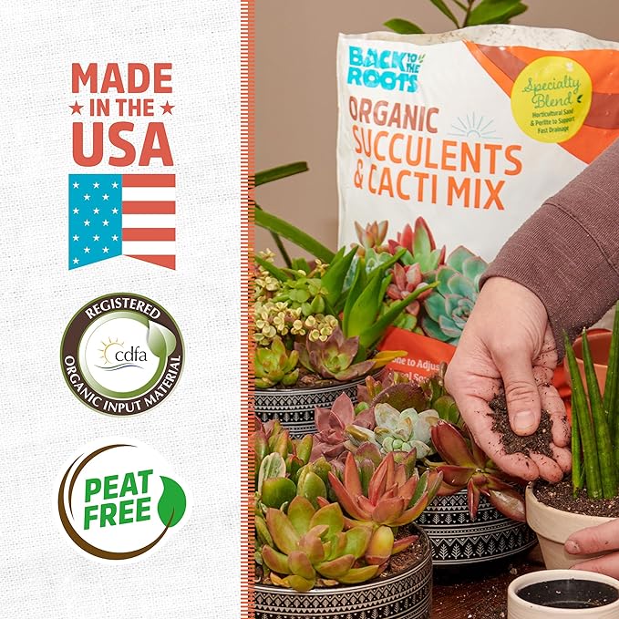 Back to the Roots 100% Organic Succulent & Cacti Mix (6 Quart) | Made in the USA | Premium Nutrition for Indoor and Outdoor Plants