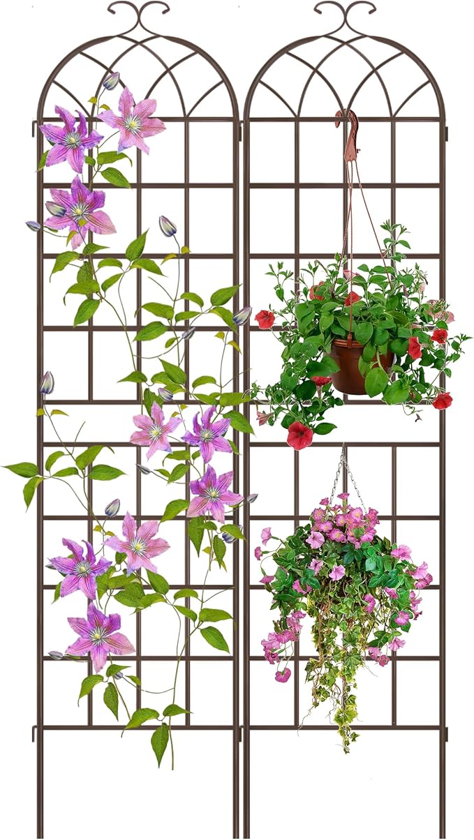 LZRS 2 Pack 83x20in Rustic Iron Arch Decoration Garden Trellis with Black Metal Coating – Perfect for Supporting Climbing Plants Outdoor, Roses, Vines, Flowers, and Vegetables,Brown