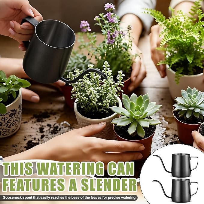 2 Pcs Small Watering Can for Indoor Plants, 12 Oz/350 ml Mini Plant Watering Pot with Long Spout and Scale 304 Stainless Steel Tiny Watering-can for Outdoor Indoor Plants Garden(Black)