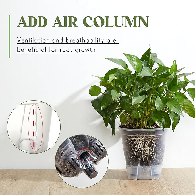 Wonderjune Self Watering Pots for Indoor Plants with Deep Reservoir and High Drainage Holes for Outdoor Plants and Flowers, Bare Root Planter(5.91'',Clear,9 Pcs)