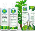 Fiddle Leaf Fig Notching Bundle