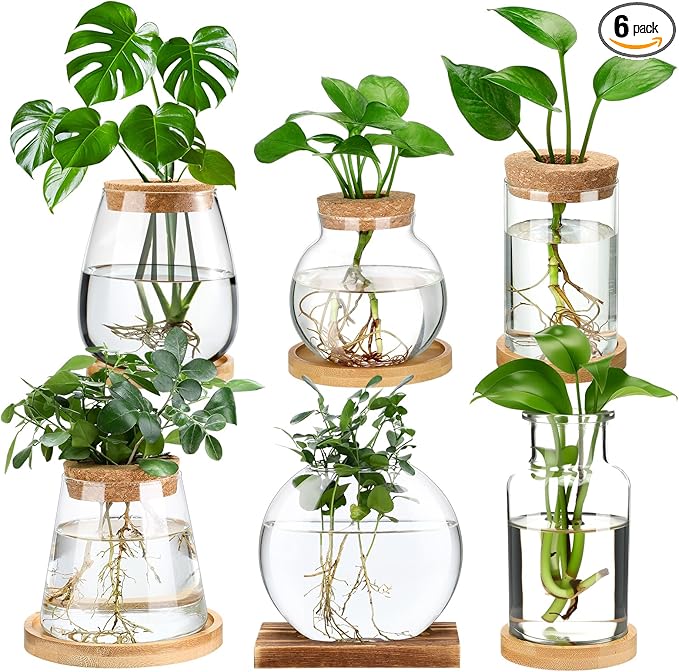Honeydak 6 Pcs Plants Propagation Stations Planter Terrariums with Wooden Lid and Bamboo Stand Desktop Glass Propagation Vases for Plant Growing Hydroponic Home Office Tabletop Decoration