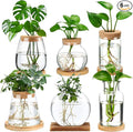 Honeydak 6 Pcs Plants Propagation Stations Planter Terrariums with Wooden Lid and Bamboo Stand Desktop Glass Propagation Vases for Plant Growing Hydroponic Home Office Tabletop Decoration