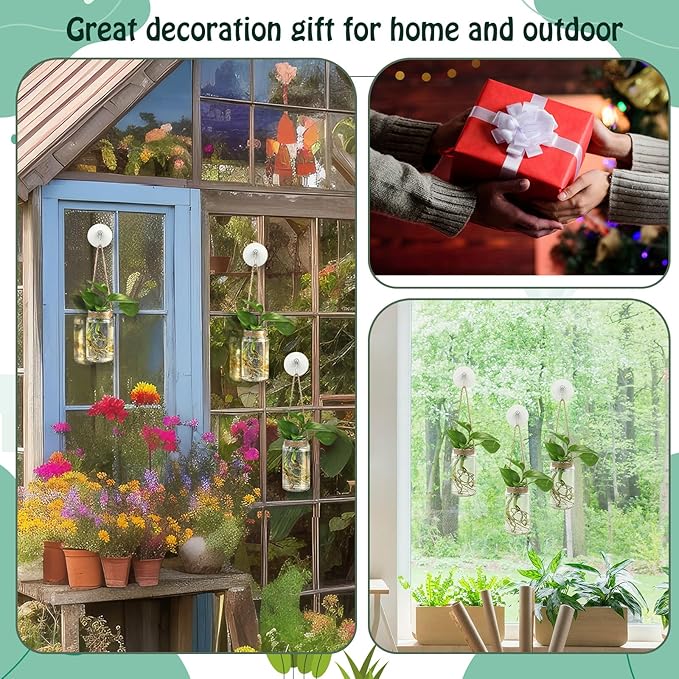 Baderke 9 Sets Window Hanging Propagation Stations 3.54'' Plastic Propagation Vases with Suction Cup & Traceless Nail, Propagated Plant Holder Wall Jars for Office Home Garden Decoration Lover Gift