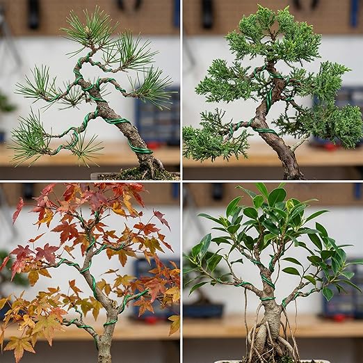 Bonsai Wire Kit, 98 Feet Green Aluminum Bonsai Tree Training Wire Bonsai-Tool Set Adjustable Wires Accessories for Holding Branches Small Trunks Bonsai-Trees Indoor Garden DIY Tools (Green, 1mm, 30m)
