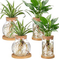 Layhit 4 Pcs Plants Propagation Stations vases Glass Planters with Wooden Lid and Bamboo Stand for Hydroponic Plants Gardening Gifts for Women Mom Home Office Tabletop Decoration(Funny Style)