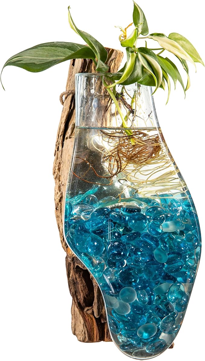 Cape Craftsmen Wall Mounted 12" Molten Glass Hanging Terrarium Kit on Natural Driftwood, Indoor Wall Planter Vase on Wood, Propagation Station for Hydroponics Plants, Succulent Pot