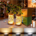 2Pack Plant Propagation Station with 9-Level Adjustable LED Light, Glass Planter Station with Waterproof Lighted Wooden Base, Desktop Hydroponic Plants Terrarium Vases Jars for Home & Office Decor