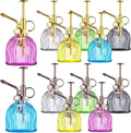 Maxdot 12 Pcs Plant Mister Glass Spray Bottle, 6.1" Tall Vintage Style Decorative Plant Atomizer Watering Can Pot with Plastic Top Pump Succulent Watering Bottle