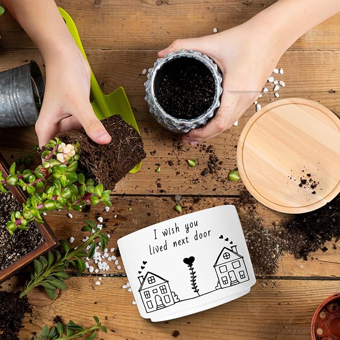 Friend Gifts for Women, I Wish You Lived Next Door, Cute Succulent Plant Pot, Flower Planter, Friendship Long Distance Relationship Gifts for Women Best Friend (Plants Not Included)