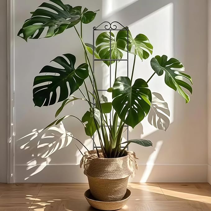 31.8'' Stackable Plant Trellis Indoor, Metal Trellis for Climbing Plants Indoor, House Plant Support with Soft Ties for Monstera Hoya Pothos, 2P