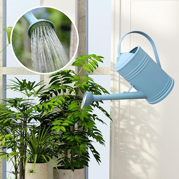 Baoblaze Watering Can Indoor Plants with Detachable Sprinkle Head 1.8L Lightweight er Watering Can Long Spout Watering Can for Plants Bonsai, Blue