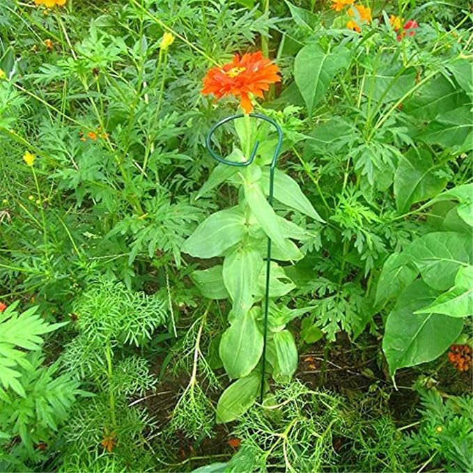 24 Inches Single Stem Plant Support Stakes Steel Garden Stakes Plant Atem Support, Pack of 20